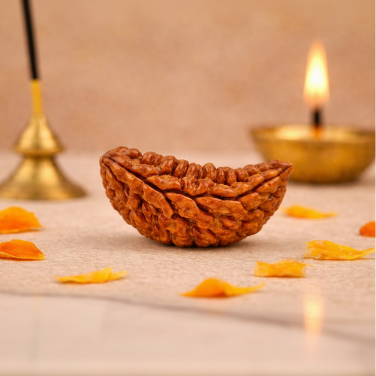 Original Nepali 1 Mukhi (One-Faced) Rudraksha