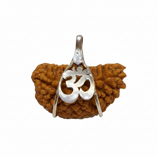 Original Nepali 1 Mukhi (One-Faced) Rudraksha Silver Pendant